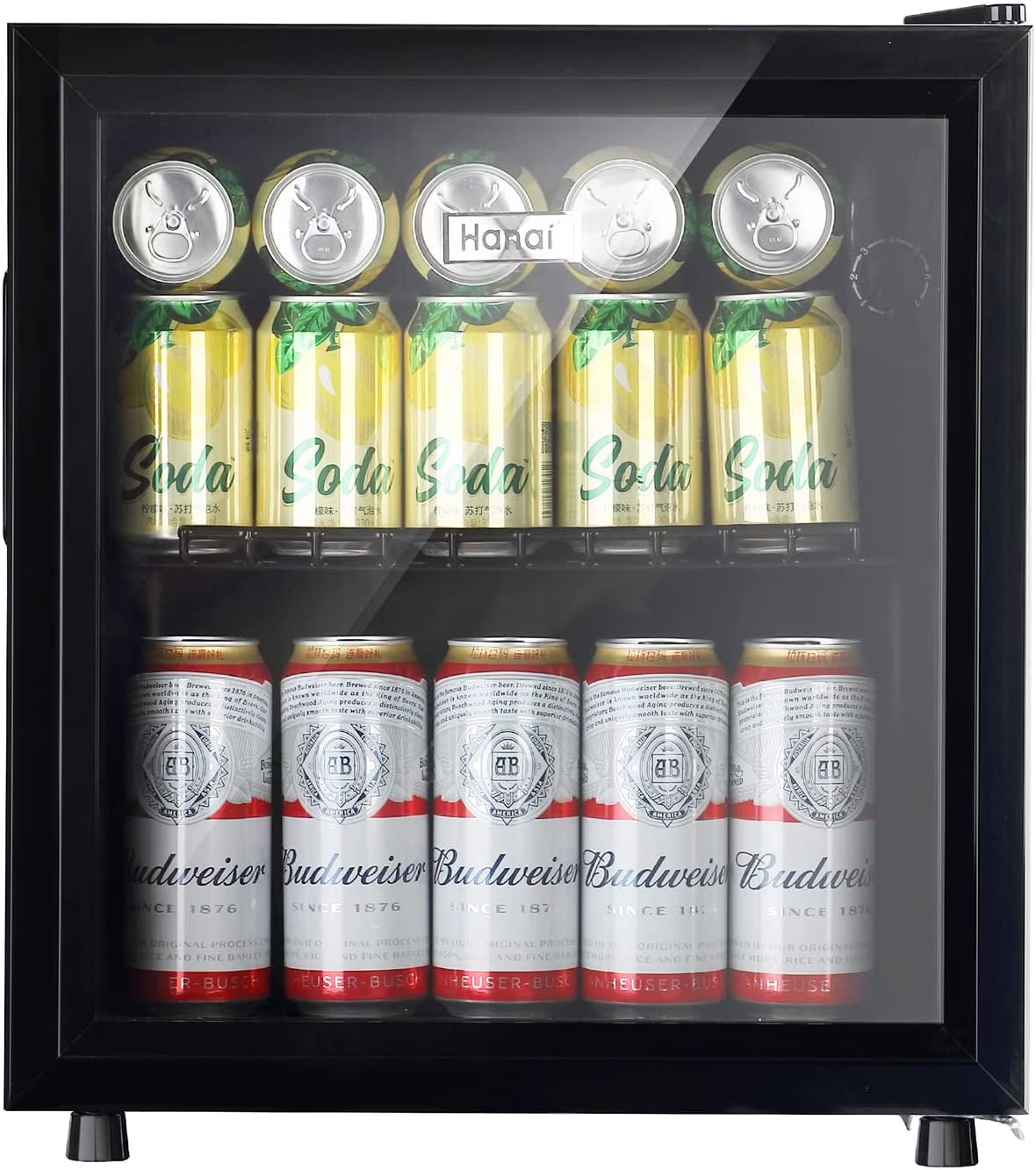 WANAI Compact Beverage Refrigerator, 100 Can Capacity, Glass Door, Black Stainless Steel