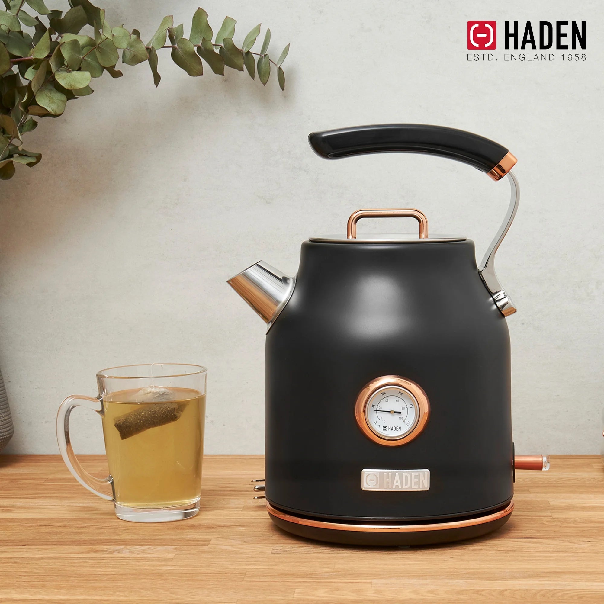 Haden Dorset 1.7 Liter Electric Water Kettle with Base, Putty & Chrome