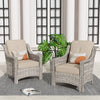 Backyard Single Chairs Set 2 Metal Wicker Rattan with Cushion, Beige Grey / Beige